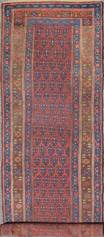 Long Persian Bidjar Kurdish Runner, 13 - 1108. Great Northwest Persian Bidjar Kurd runners are renowned for their superior use of color. This charming rug uses a full spectrum of vegetable dyes ranging from brown, blue, salmon, soft red and green. Dia... - Keivan Woven Arts13 - 1108 - 3942Rug