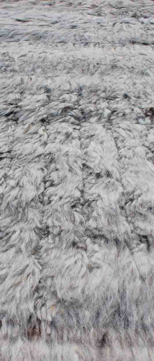 nan - Keivan Woven ArtsOB - 9597615 - 98101556 - 10898Rug