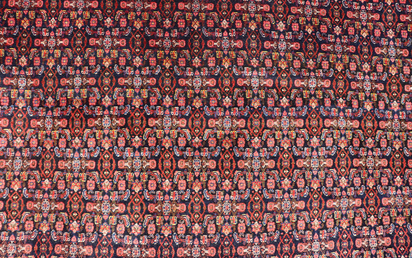nan - Keivan Woven ArtsX23 - 0613 - 366 - 24529Rug