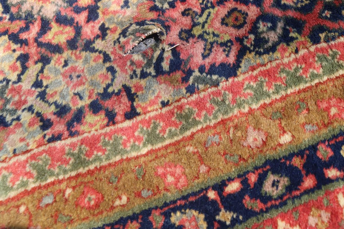 nan - Keivan Woven ArtsAVI - 0704 - 24778Rug