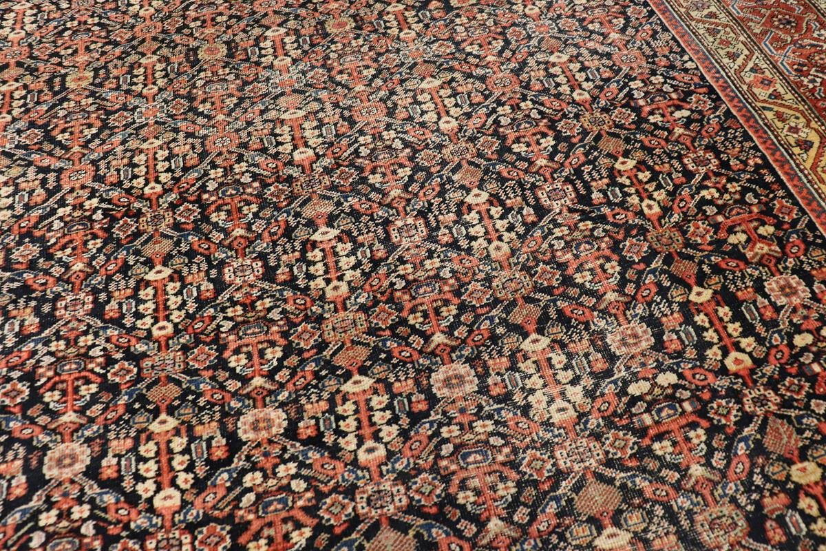 nan - Keivan Woven ArtsAVI - 0801 - 24792Rug