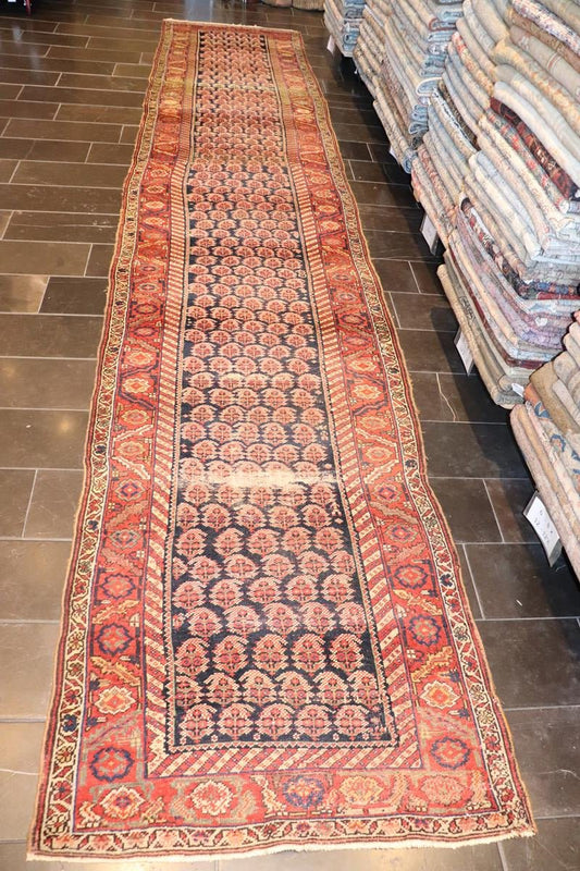 nan - Keivan Woven ArtsAVI - 0804 - 24819Rug