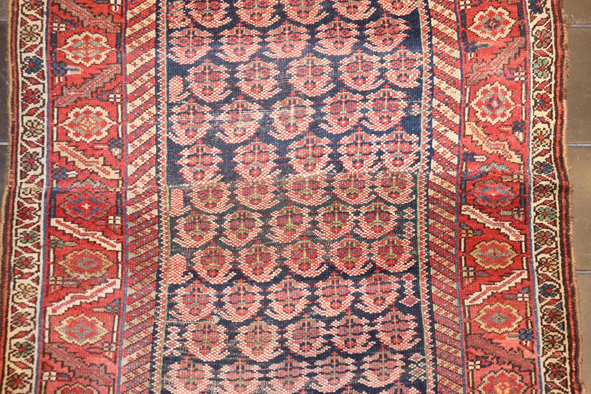 nan - Keivan Woven ArtsAVI - 0804 - 24819Rug
