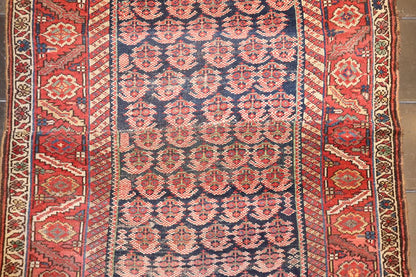 nan - Keivan Woven ArtsAVI - 0804 - 24819Rug