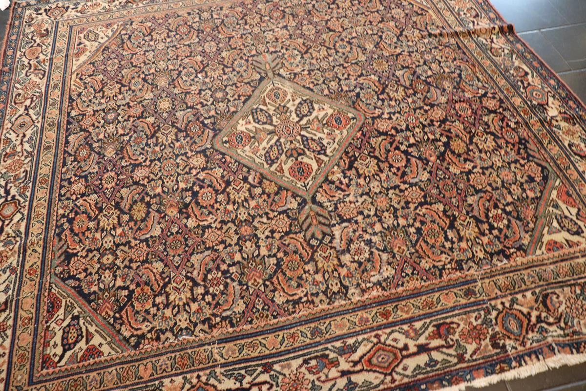 nan - Keivan Woven ArtsAVI - 0805 - 24821Rug