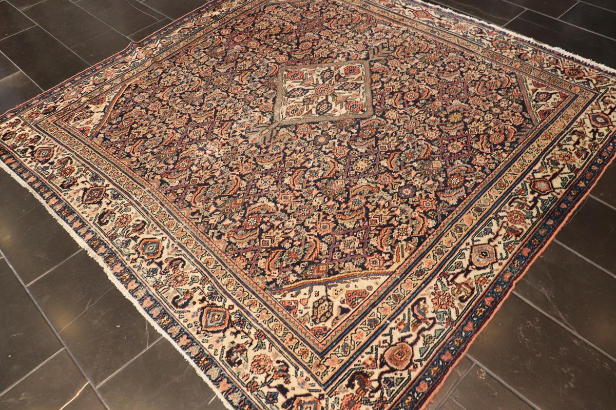 nan - Keivan Woven ArtsAVI - 0805 - 24821Rug