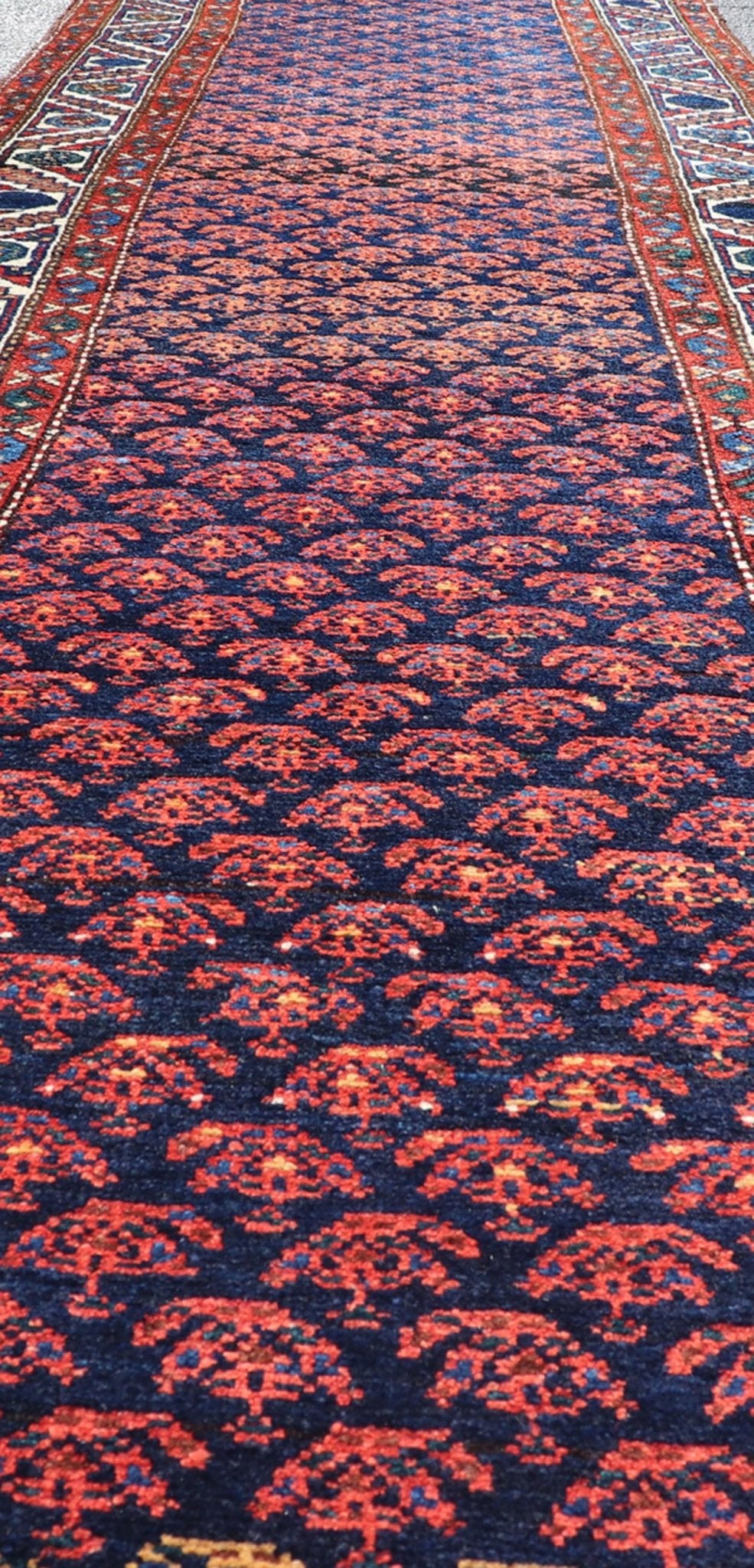 nan - Keivan Woven ArtsAVI - 1102 - 25315Rug
