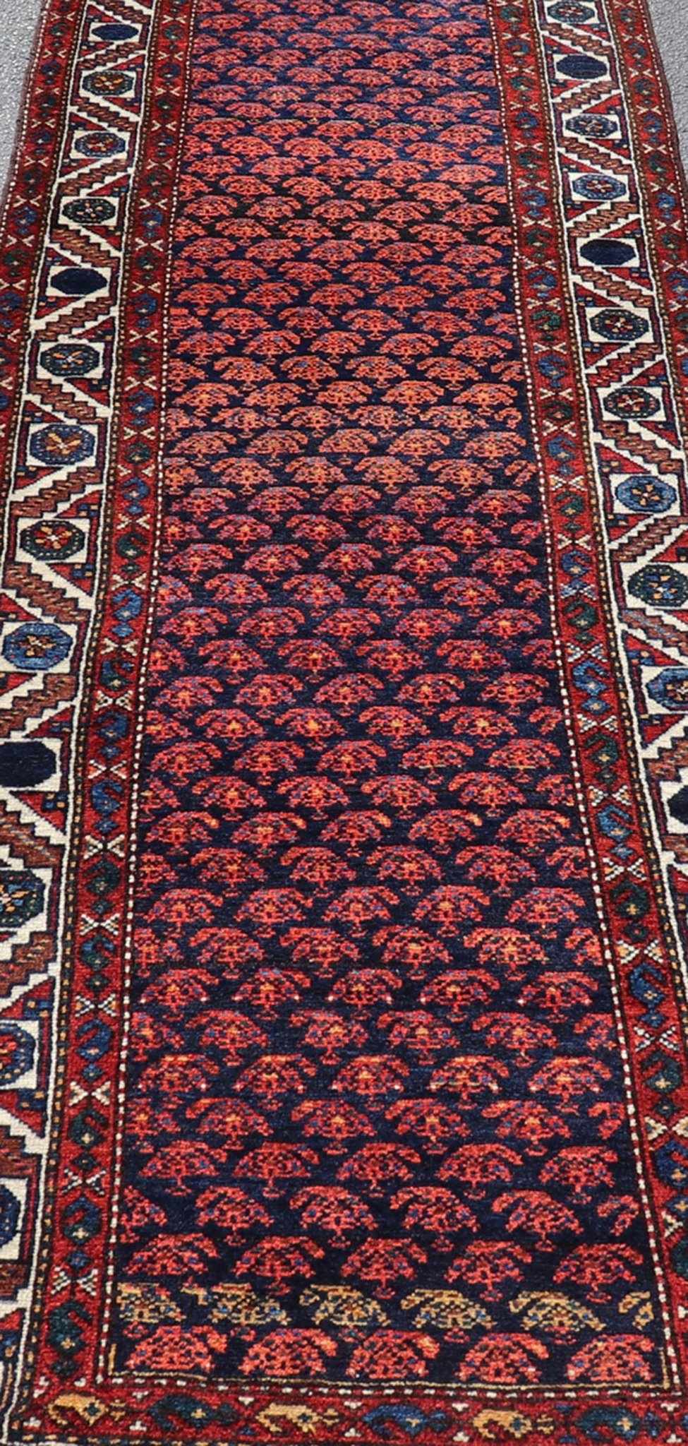nan - Keivan Woven ArtsAVI - 1102 - 25315Rug