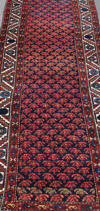 nan - Keivan Woven ArtsAVI - 1102 - 25315Rug