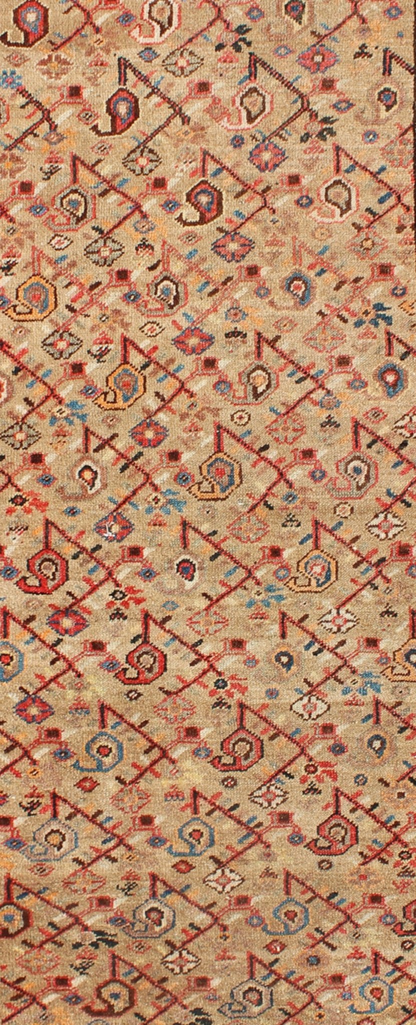 Antique N.W. Persian Malayer Rug with Free - Flowing All - Over Pattern, Sand Field kwarugs Antique N.W. Persian Malayer Rug with free - flowing all - over pattern, sand field, rug ema - 7504, country of origin / type: Iran / Malayer, circa 1900. T... - Keivan Woven ArtsEMA - 7504 - 8827Rug