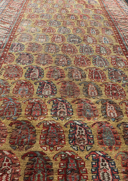 Antique Caucasian Kazak Runner with Paisley Design. Keivan Woven Arts; rug/ EMBC - 9617 - 13852 / Persian Rug, Country of Origin: Caucasus Type: Kazak Design: All - Over, Sub - Geometric, Kazak in Paisley design Measures: 3'6 x 8'3 This gorgeous ye... - Keivan Woven ArtsEMBC - 9617 - 13852 - 15947Rug