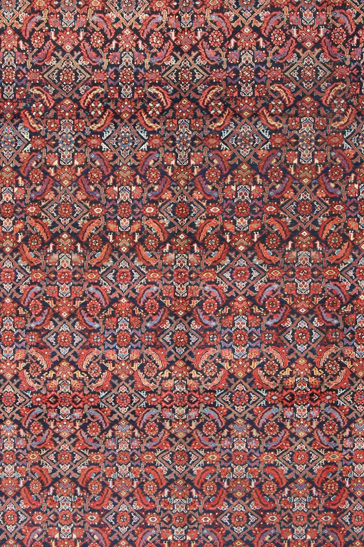Multi Color Antique Persian Malayer Rug with All Over Herati Design in Black & Shades of Blue Measures: 8'8 x 11'8 Antique Persian Malayer Rug, Country of Origin: Iran; Type: Malayer; Design: All - Over, Herati; Keivan Woven Arts: rug F - 09... - Keivan Woven ArtsF - 0909 - 699Rug