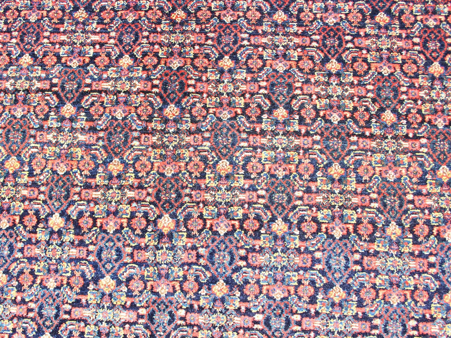 Fine Antique Persian Senneh Rug with Herati Geometric Design in Blue Background. Finely Woven Antique Persian Senneh Rug with Herati Design in Blue Background, Keivan Woven Arts / rug R20 - 0719 - 155, country of origin / type: Iran / Senneh , circa 1910. ... - Keivan Woven ArtsR20 - 0719 - 155 - 13030Rug