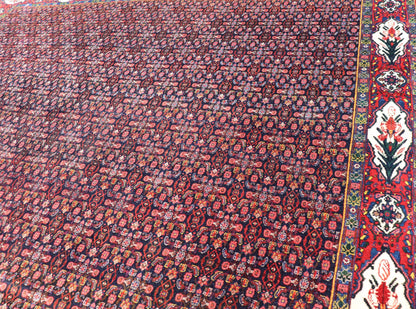 nan - Keivan Woven ArtsX23 - 0613 - 366 - 24529Rug